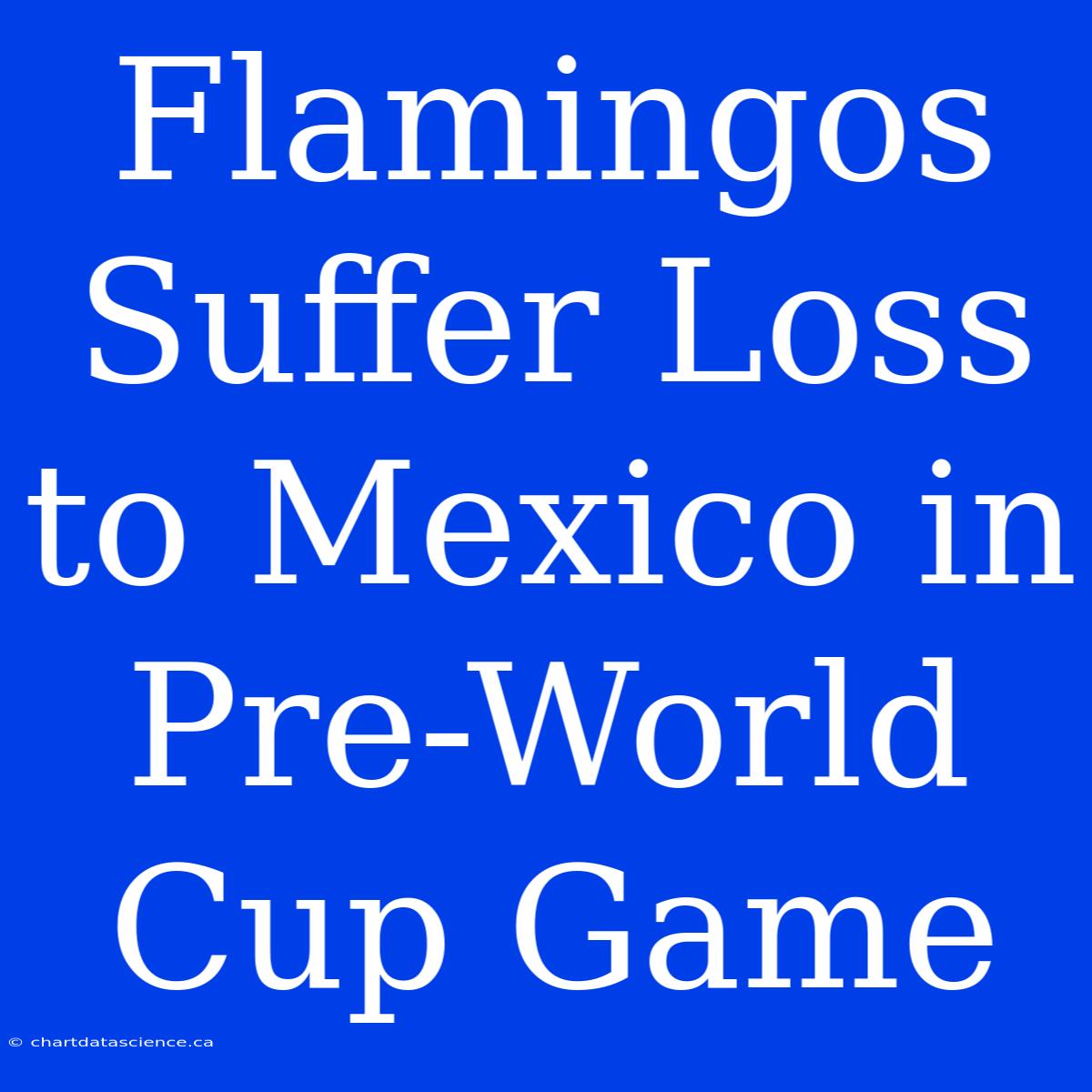 Flamingos Suffer Loss To Mexico In Pre-World Cup Game