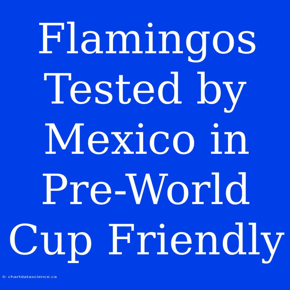 Flamingos Tested By Mexico In Pre-World Cup Friendly