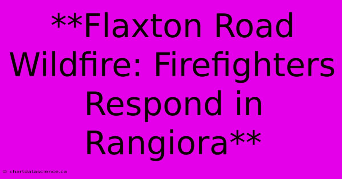 **Flaxton Road Wildfire: Firefighters Respond In Rangiora**