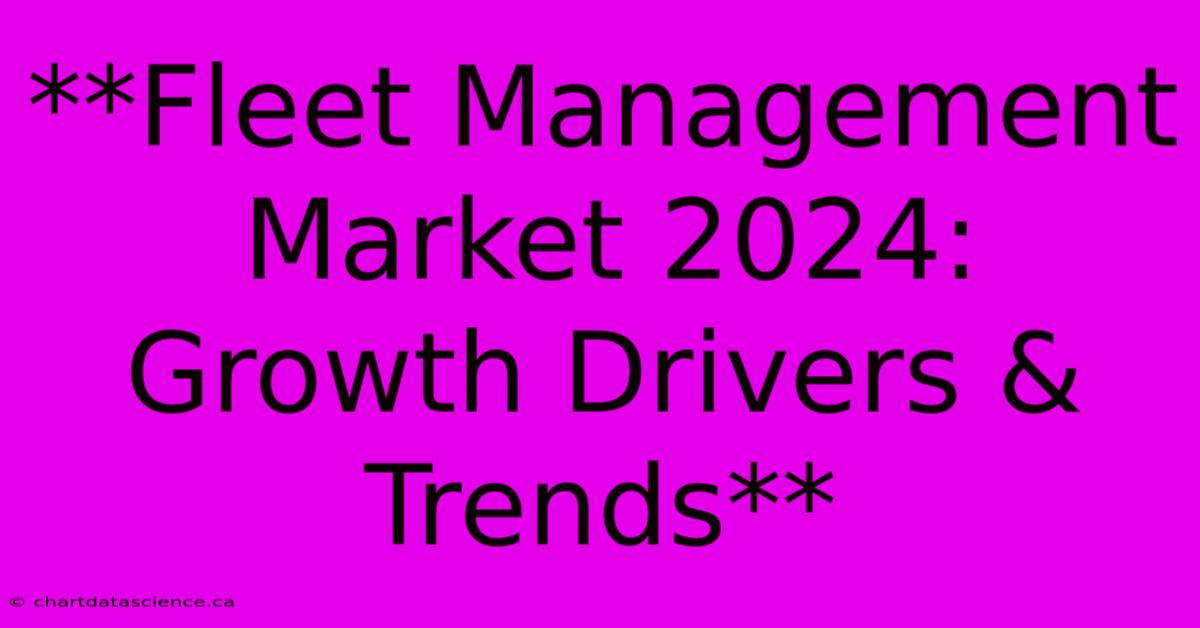 **Fleet Management Market 2024: Growth Drivers & Trends**