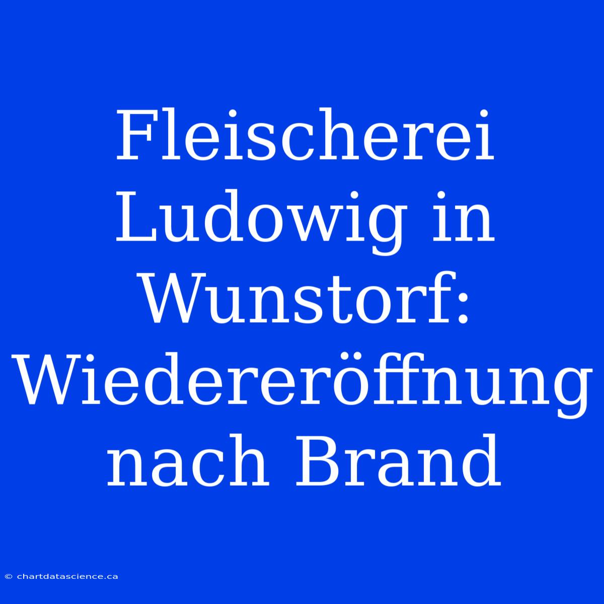 Fleischerei Ludowig In Wunstorf: Wiedereröffnung Nach Brand