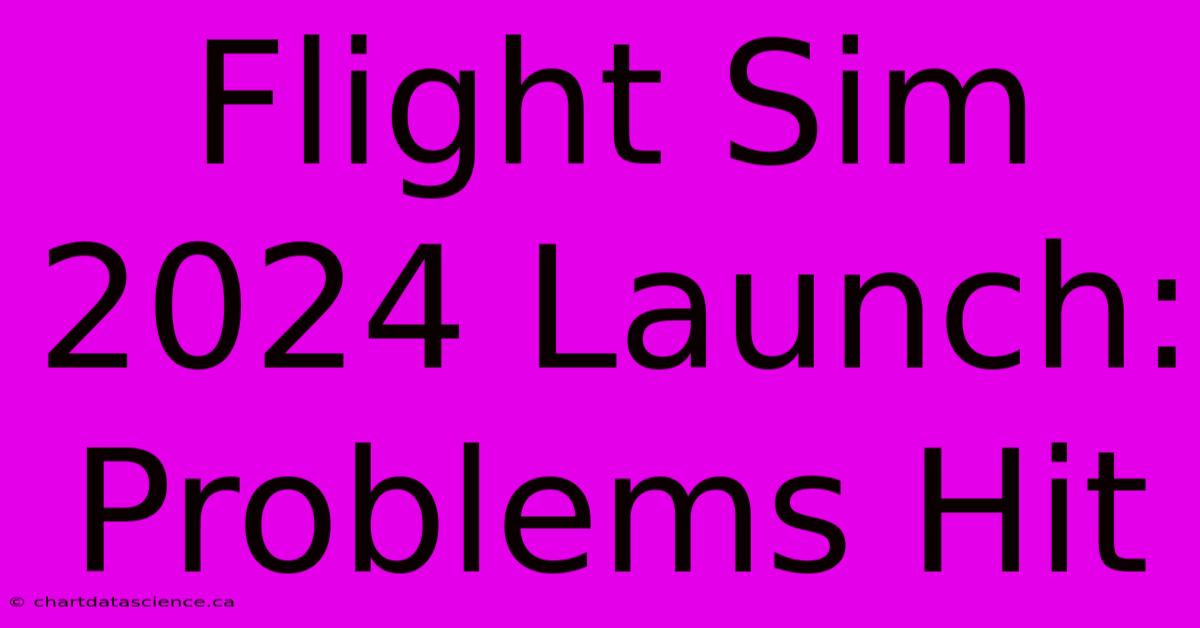 Flight Sim 2024 Launch: Problems Hit