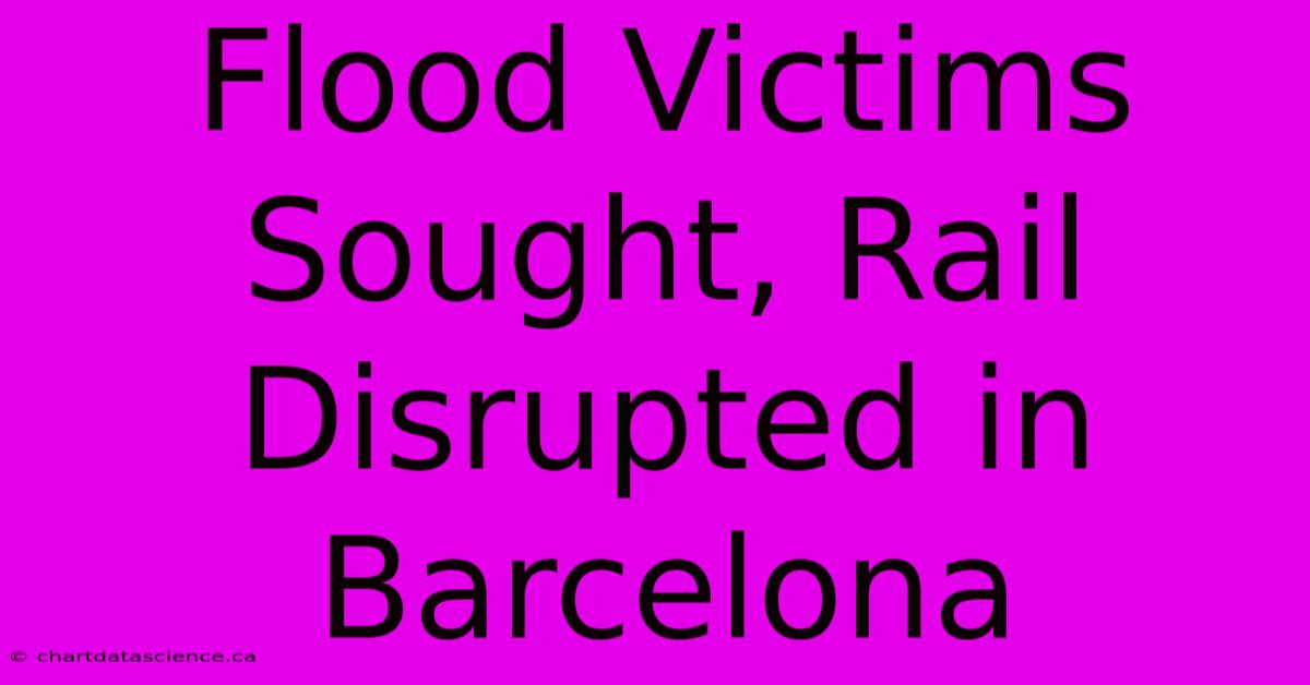 Flood Victims Sought, Rail Disrupted In Barcelona