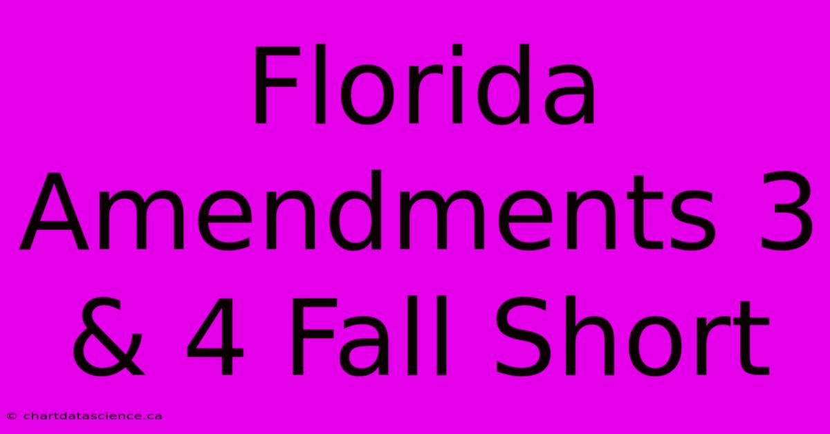 Florida Amendments 3 & 4 Fall Short