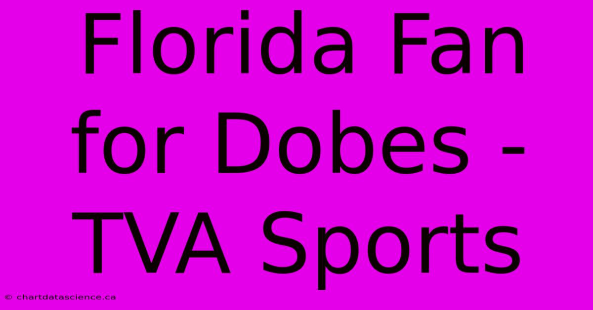 Florida Fan For Dobes - TVA Sports