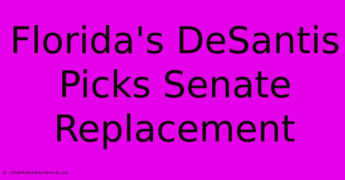 Florida's DeSantis Picks Senate Replacement