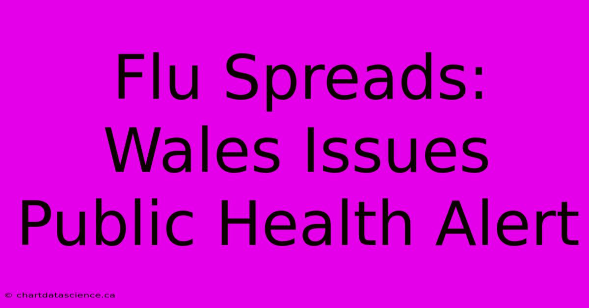 Flu Spreads: Wales Issues Public Health Alert