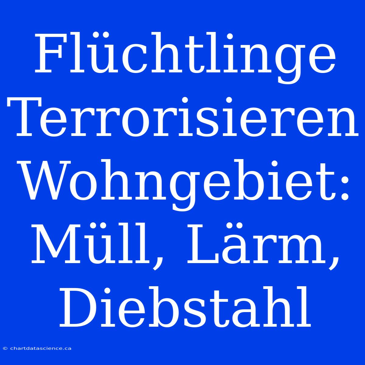 Flüchtlinge Terrorisieren Wohngebiet: Müll, Lärm, Diebstahl