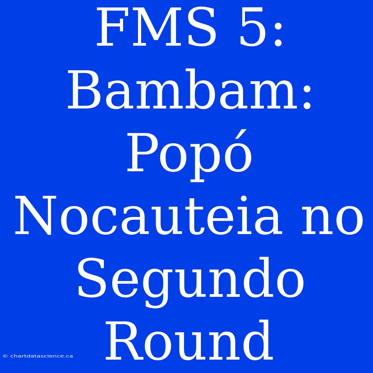 FMS 5: Bambam: Popó Nocauteia No Segundo Round