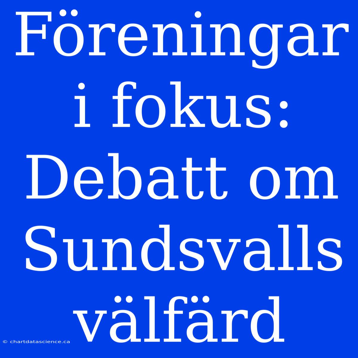 Föreningar I Fokus: Debatt Om Sundsvalls Välfärd