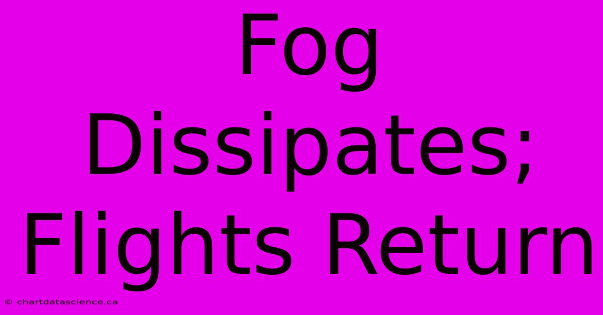 Fog Dissipates; Flights Return