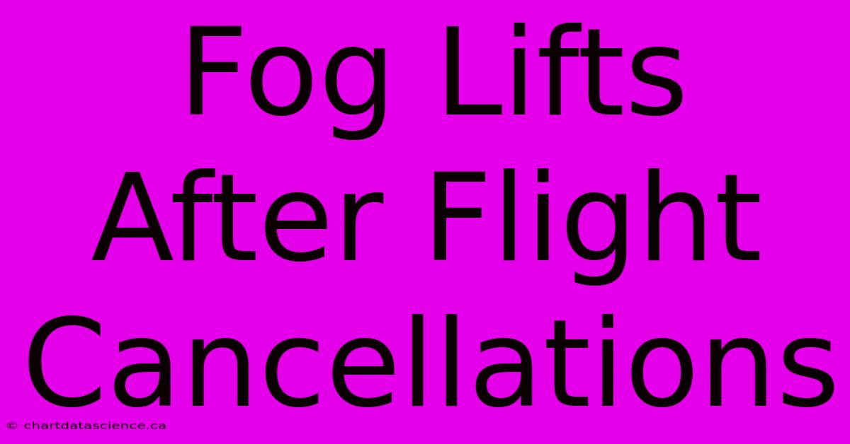 Fog Lifts After Flight Cancellations