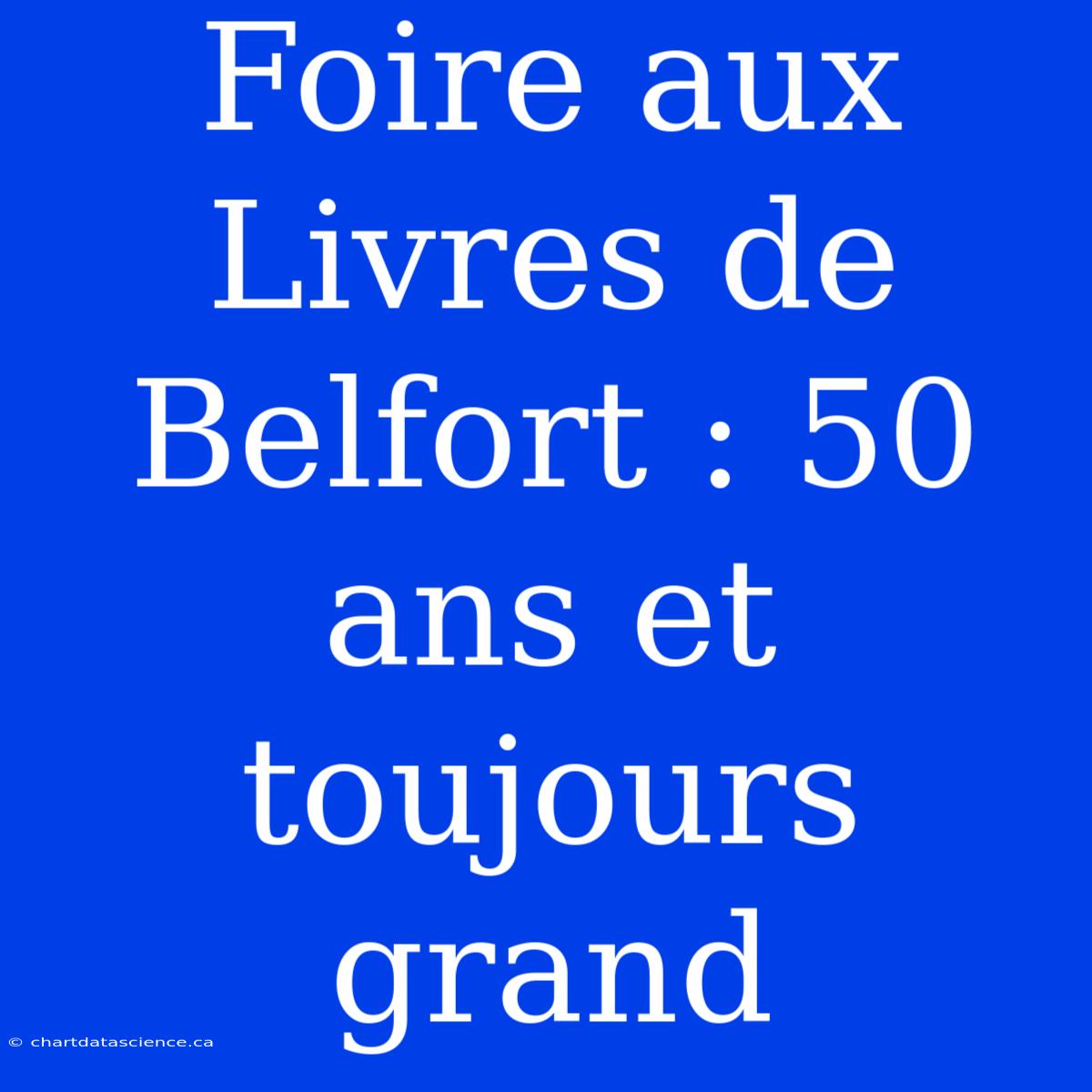 Foire Aux Livres De Belfort : 50 Ans Et Toujours Grand