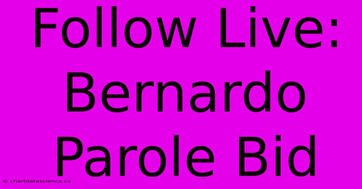 Follow Live: Bernardo Parole Bid