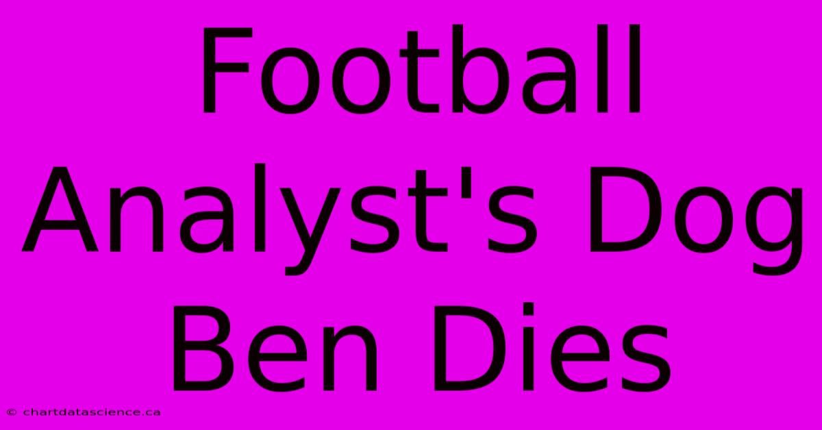 Football Analyst's Dog Ben Dies