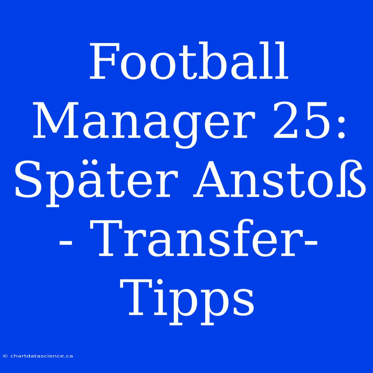 Football Manager 25: Später Anstoß - Transfer-Tipps