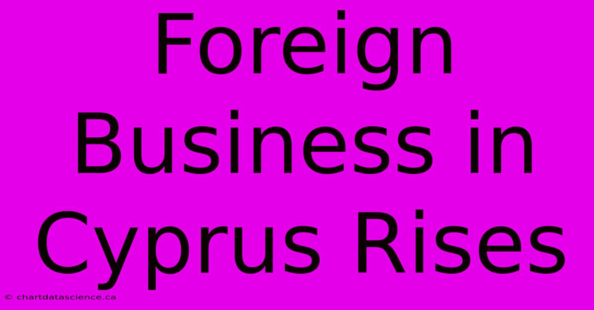 Foreign Business In Cyprus Rises