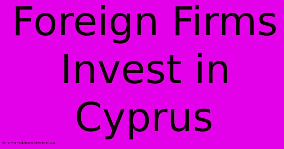 Foreign Firms Invest In Cyprus