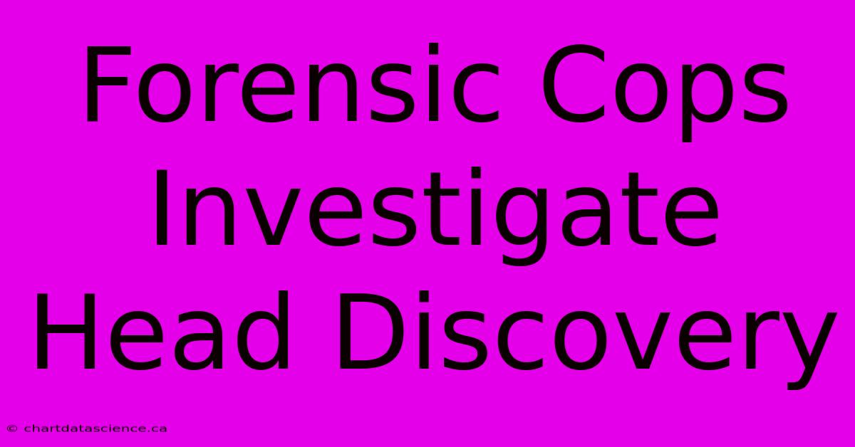 Forensic Cops Investigate Head Discovery