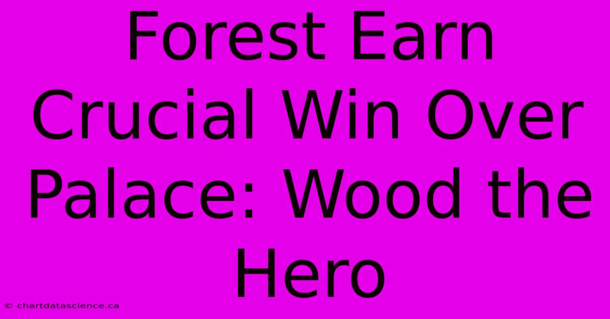 Forest Earn Crucial Win Over Palace: Wood The Hero