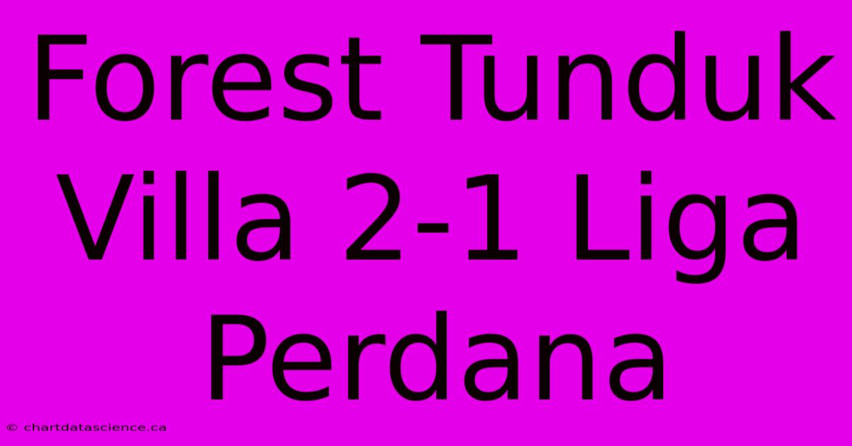 Forest Tunduk Villa 2-1 Liga Perdana