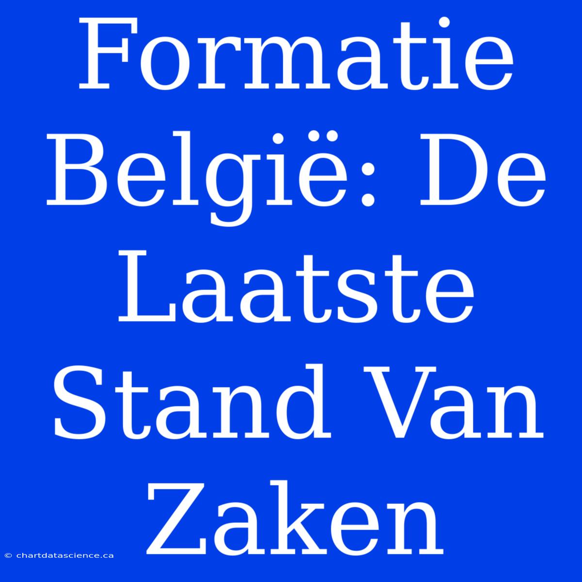 Formatie België: De Laatste Stand Van Zaken