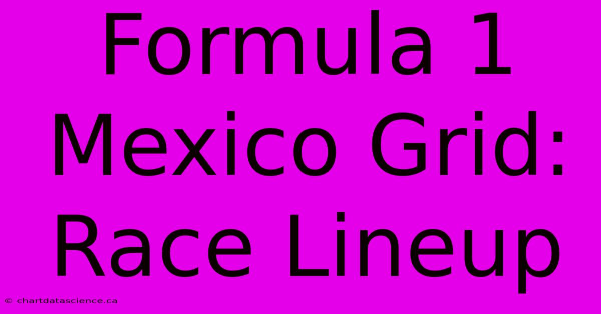 Formula 1 Mexico Grid: Race Lineup