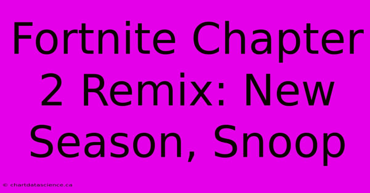 Fortnite Chapter 2 Remix: New Season, Snoop