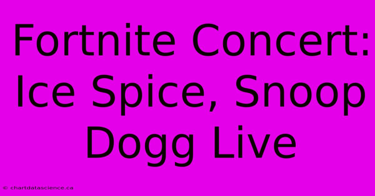 Fortnite Concert: Ice Spice, Snoop Dogg Live