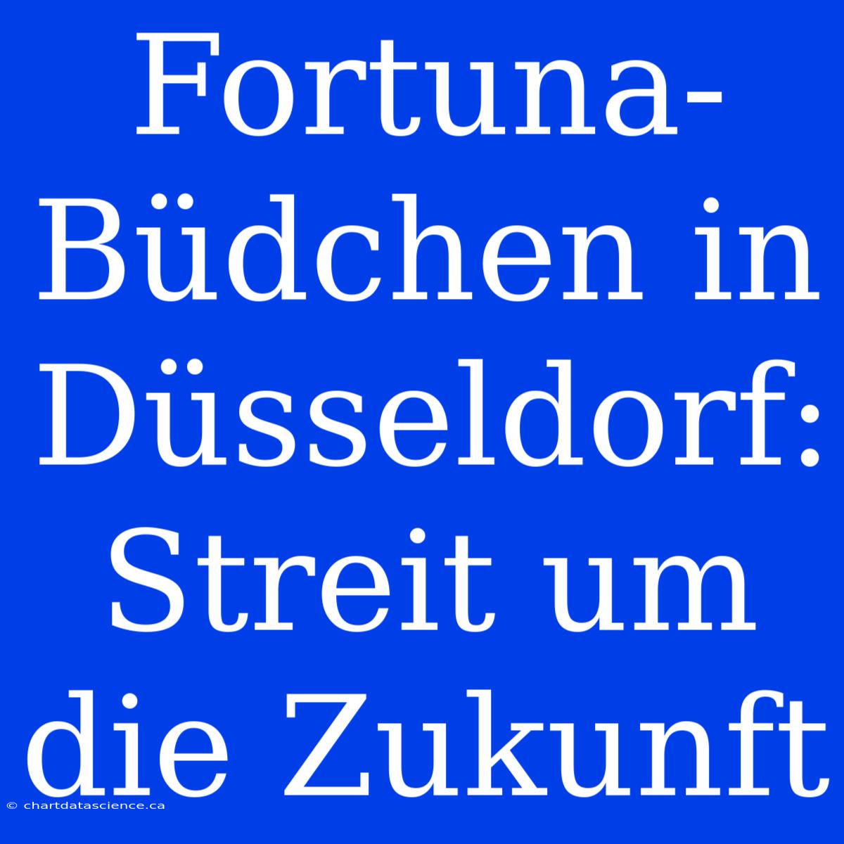 Fortuna-Büdchen In Düsseldorf: Streit Um Die Zukunft