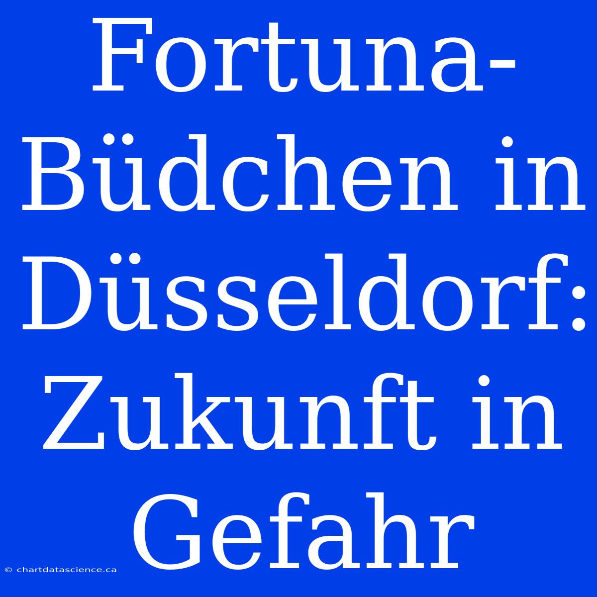 Fortuna-Büdchen In Düsseldorf: Zukunft In Gefahr