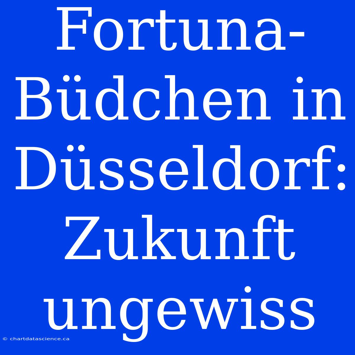 Fortuna-Büdchen In Düsseldorf: Zukunft Ungewiss