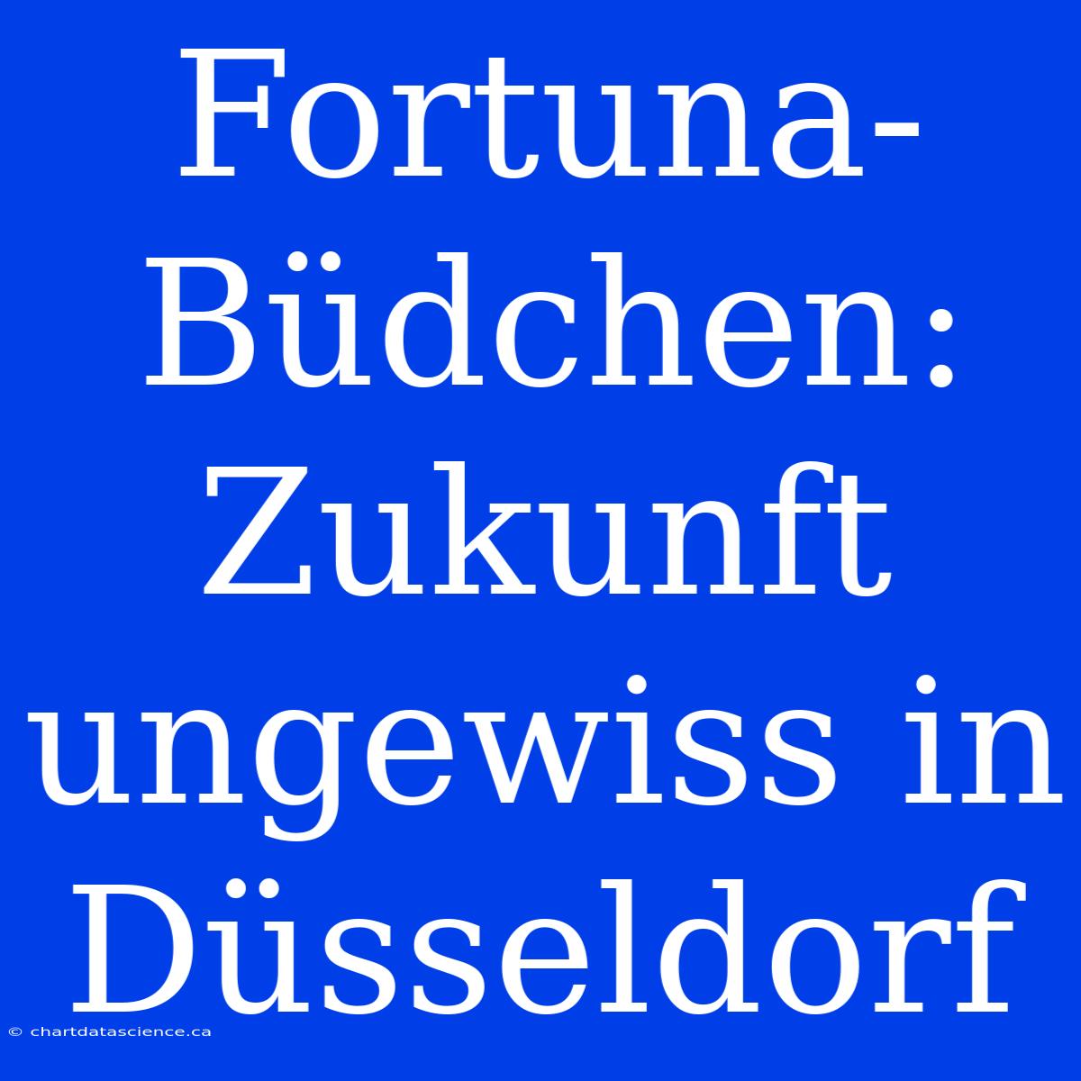 Fortuna-Büdchen: Zukunft Ungewiss In Düsseldorf