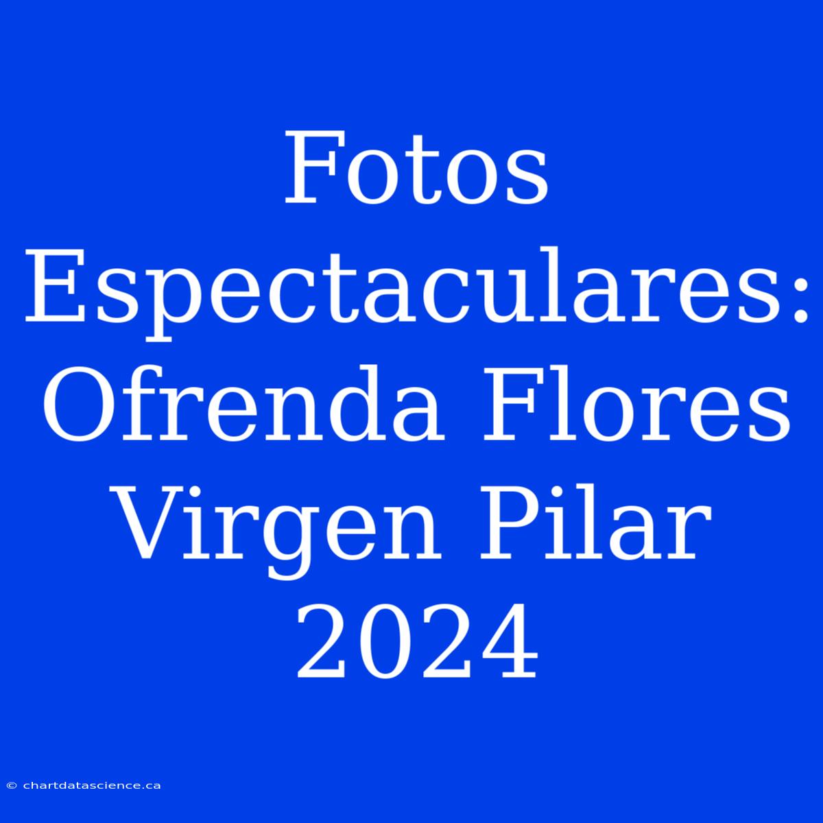 Fotos Espectaculares: Ofrenda Flores Virgen Pilar 2024