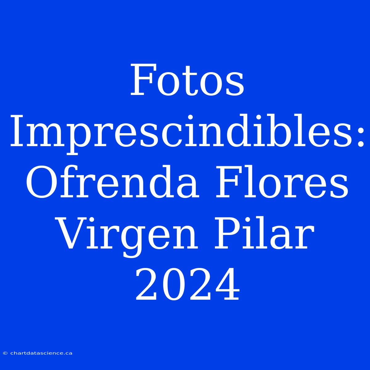 Fotos Imprescindibles: Ofrenda Flores Virgen Pilar 2024