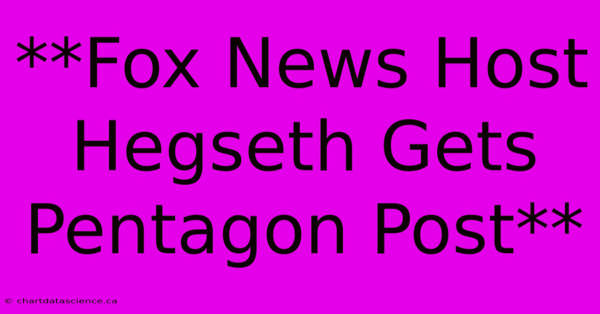 **Fox News Host Hegseth Gets Pentagon Post** 