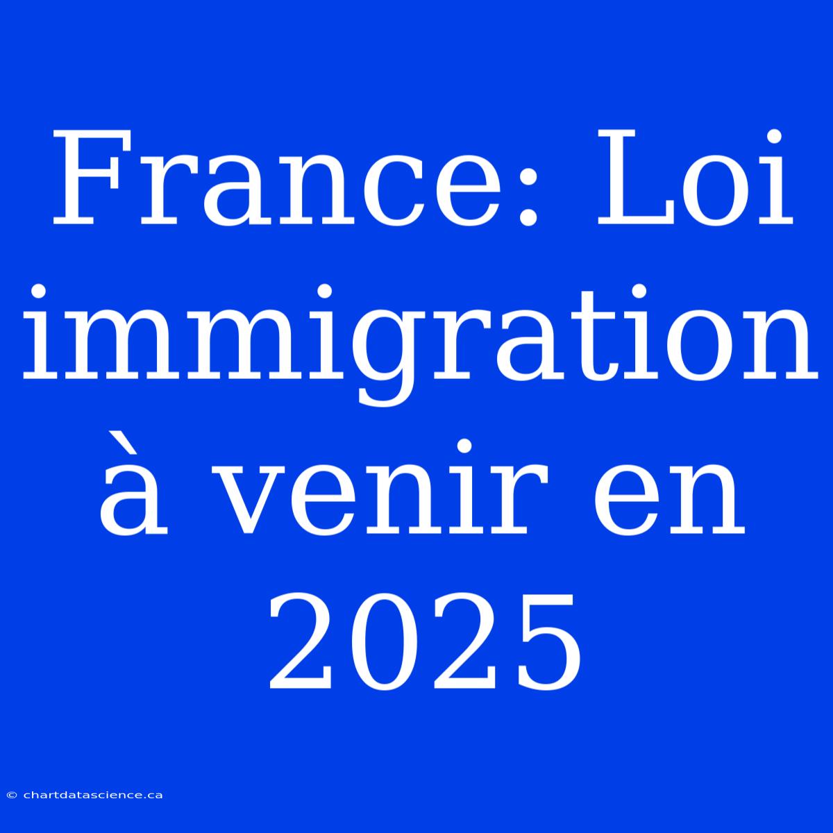 France: Loi Immigration À Venir En 2025