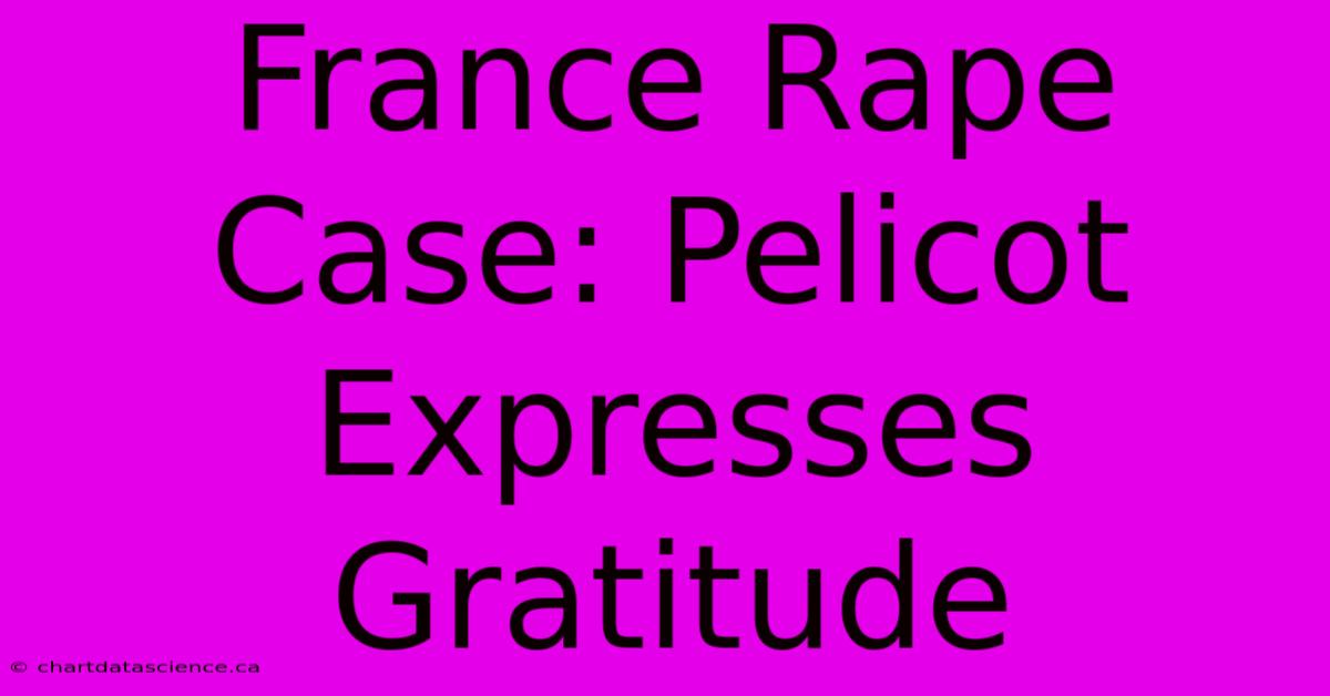 France Rape Case: Pelicot Expresses Gratitude