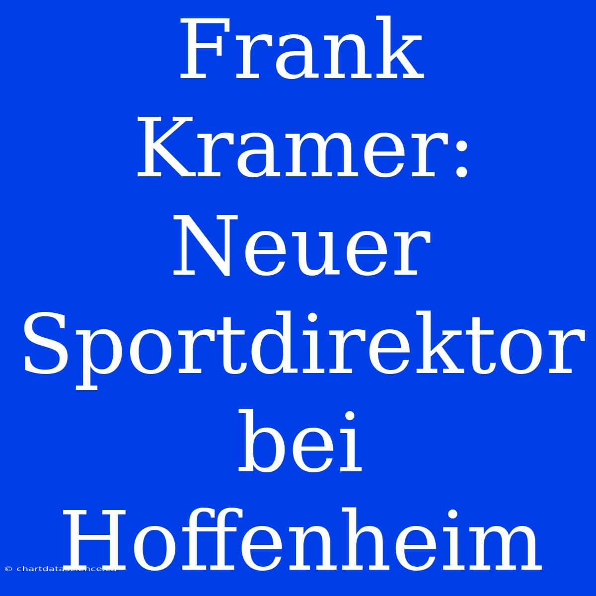 Frank Kramer: Neuer Sportdirektor Bei Hoffenheim