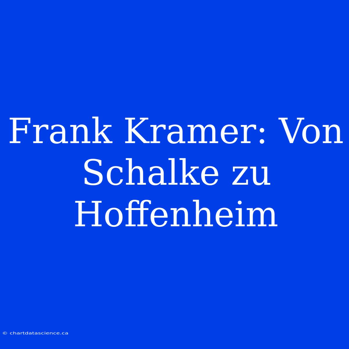 Frank Kramer: Von Schalke Zu Hoffenheim