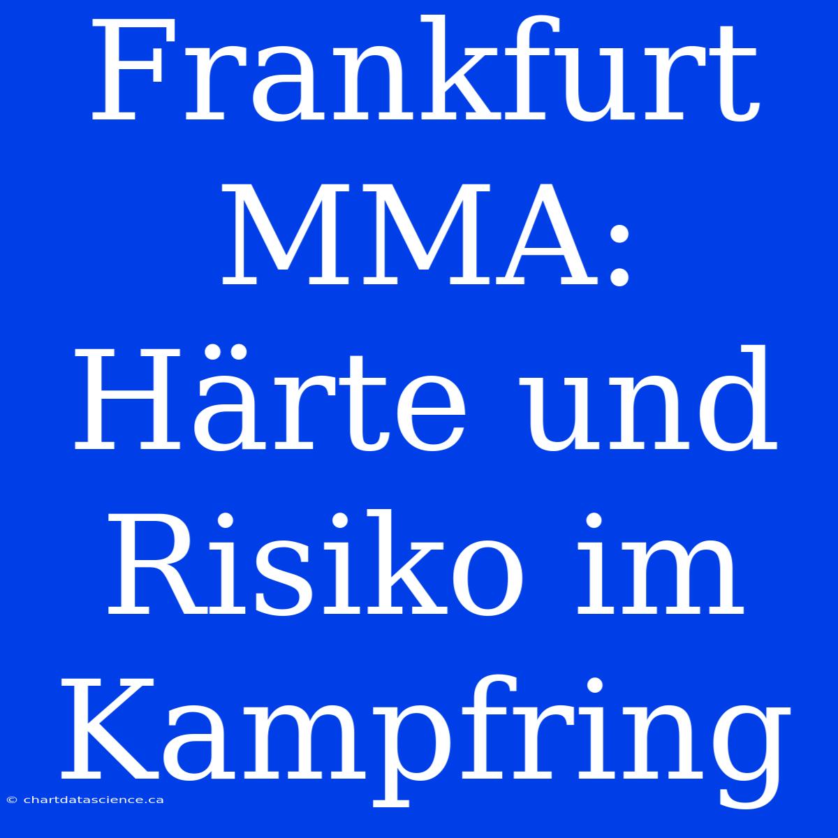 Frankfurt MMA:  Härte Und Risiko Im Kampfring