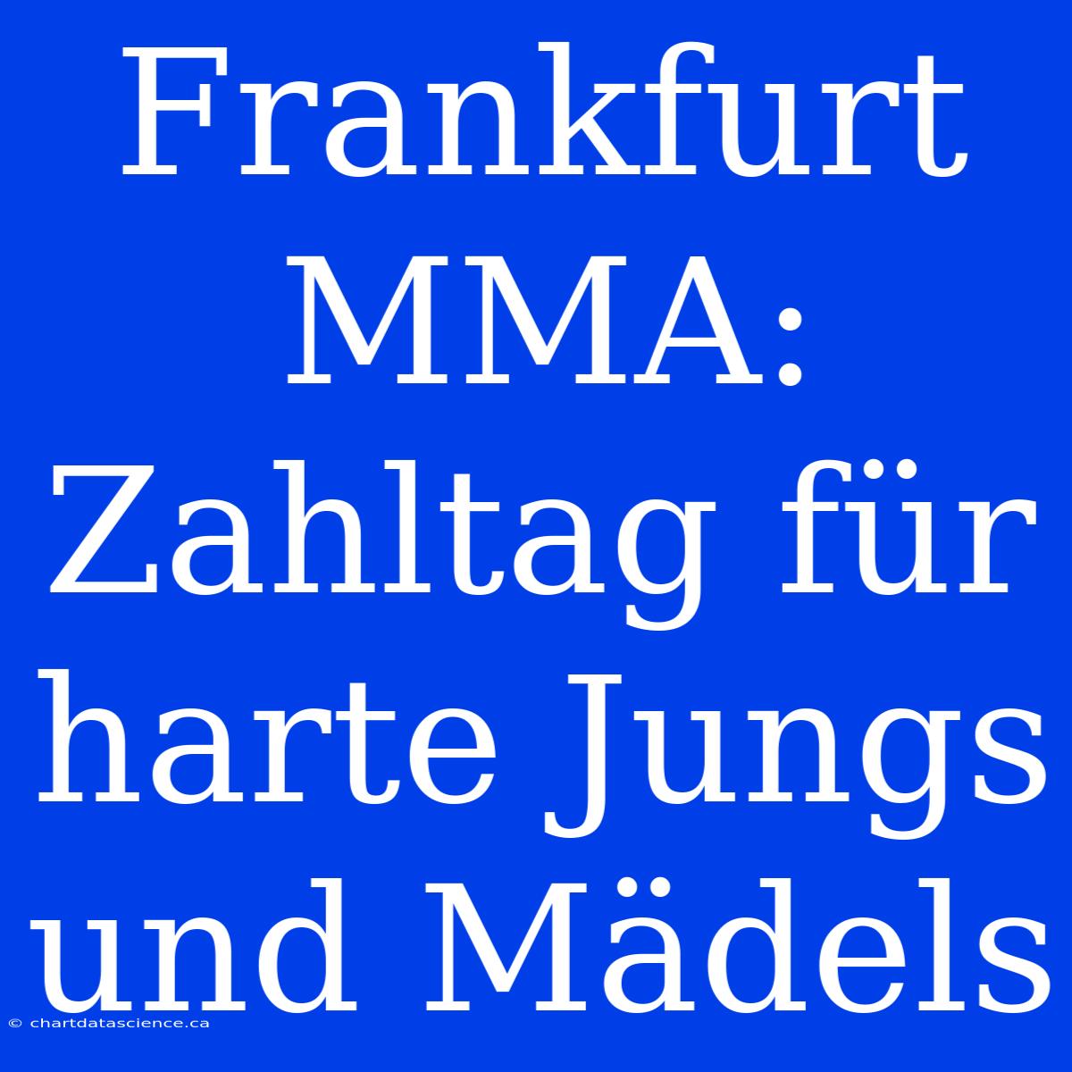 Frankfurt MMA: Zahltag Für Harte Jungs Und Mädels