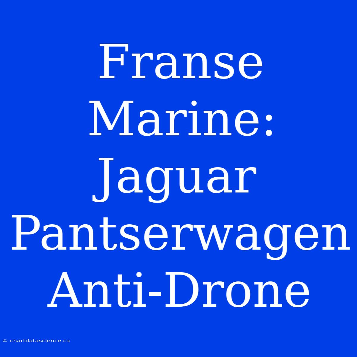 Franse Marine: Jaguar Pantserwagen Anti-Drone