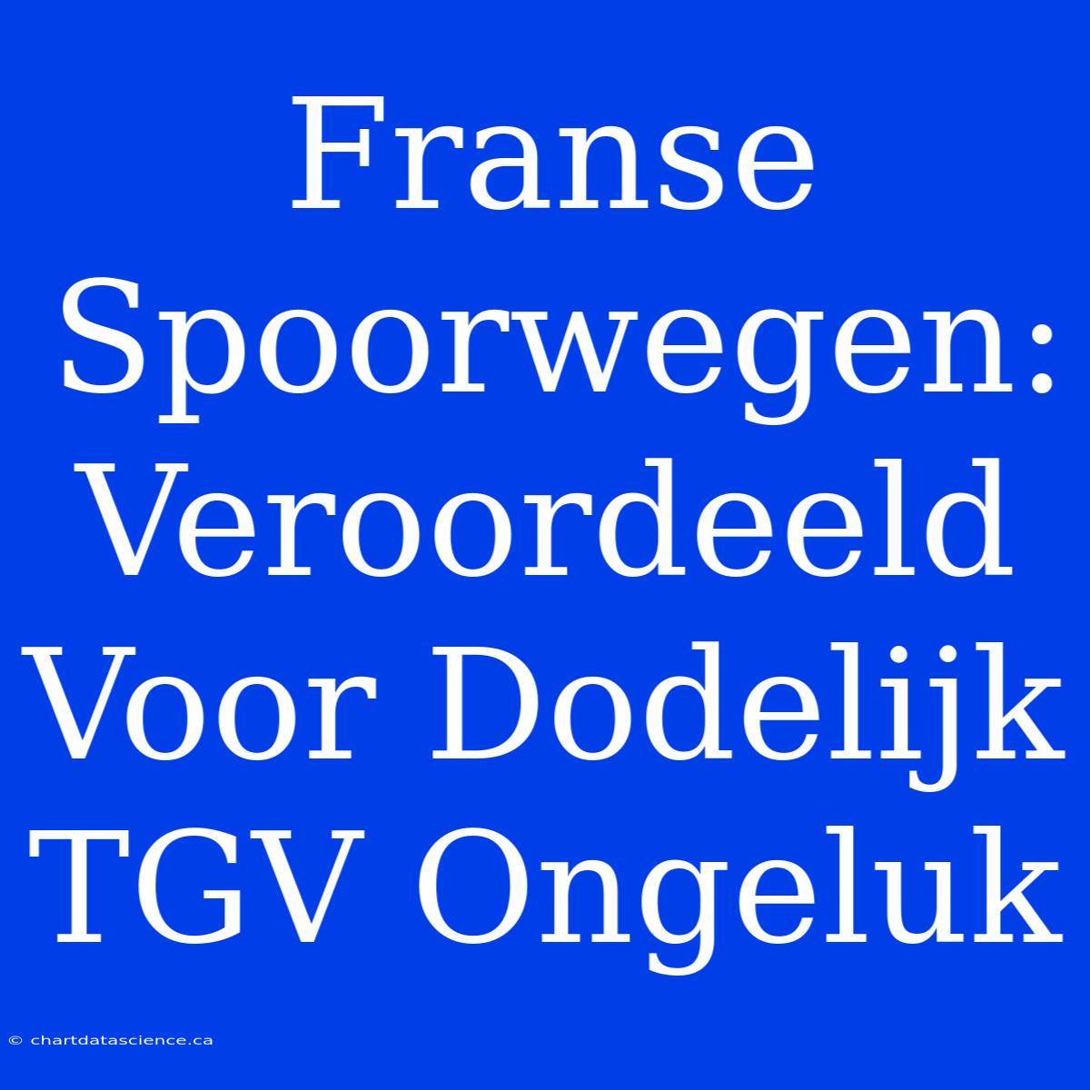 Franse Spoorwegen: Veroordeeld Voor Dodelijk TGV Ongeluk