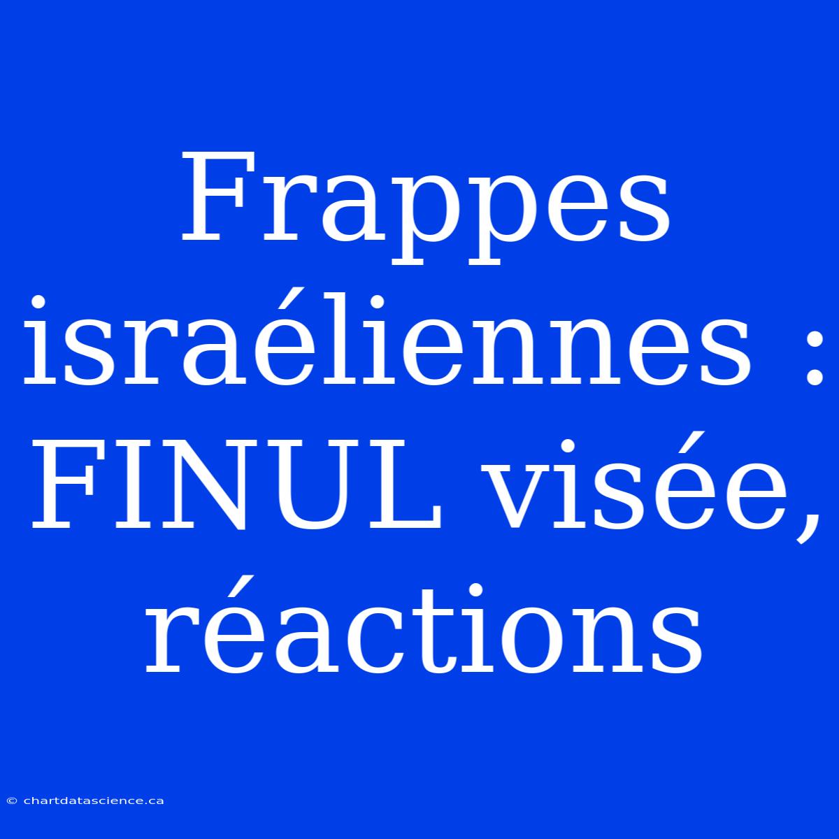 Frappes Israéliennes : FINUL Visée, Réactions