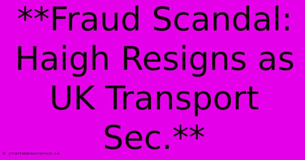 **Fraud Scandal: Haigh Resigns As UK Transport Sec.**