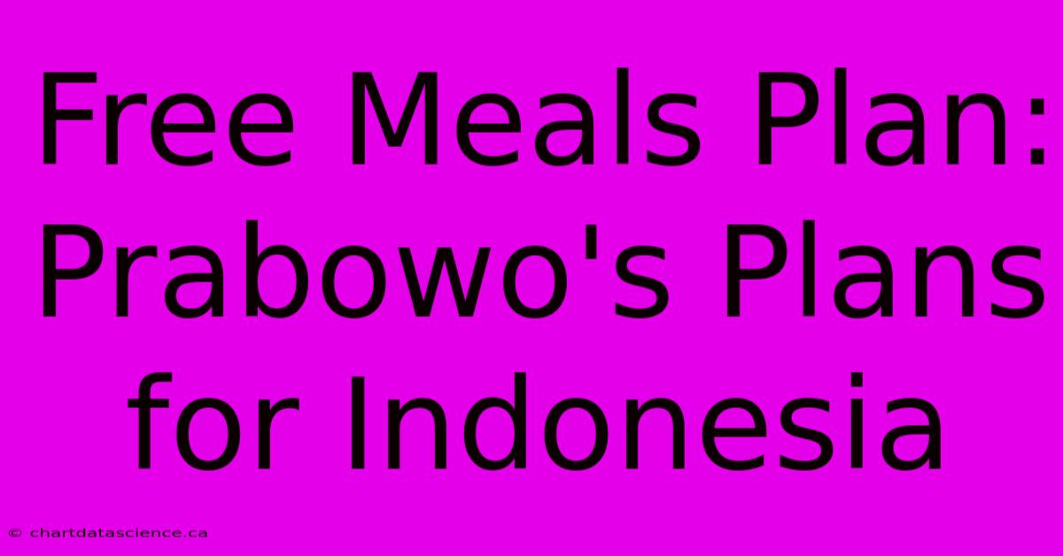 Free Meals Plan: Prabowo's Plans For Indonesia