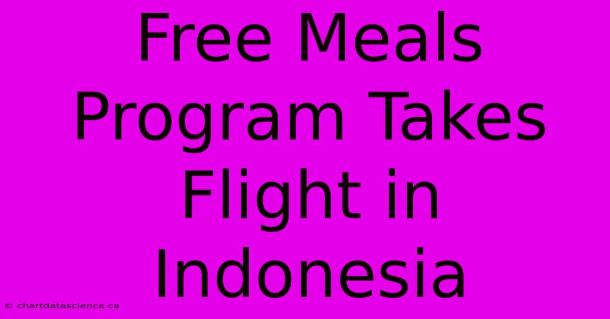 Free Meals Program Takes Flight In Indonesia