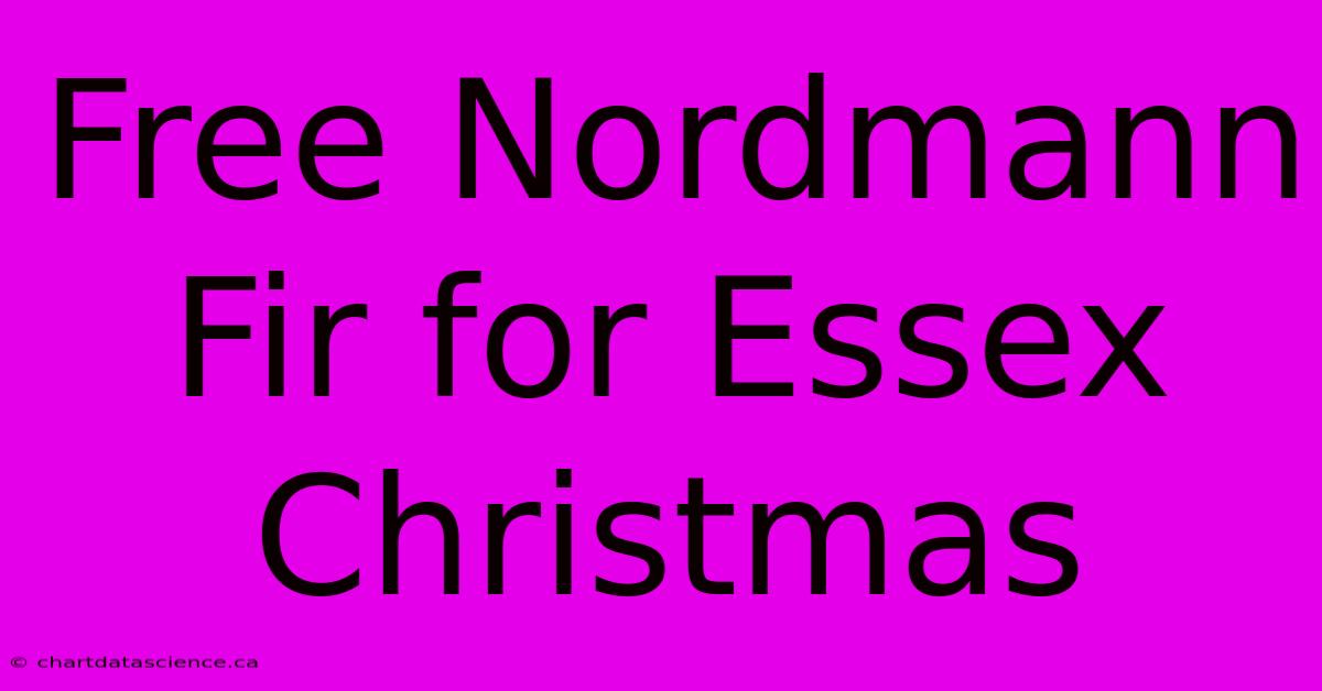 Free Nordmann Fir For Essex Christmas