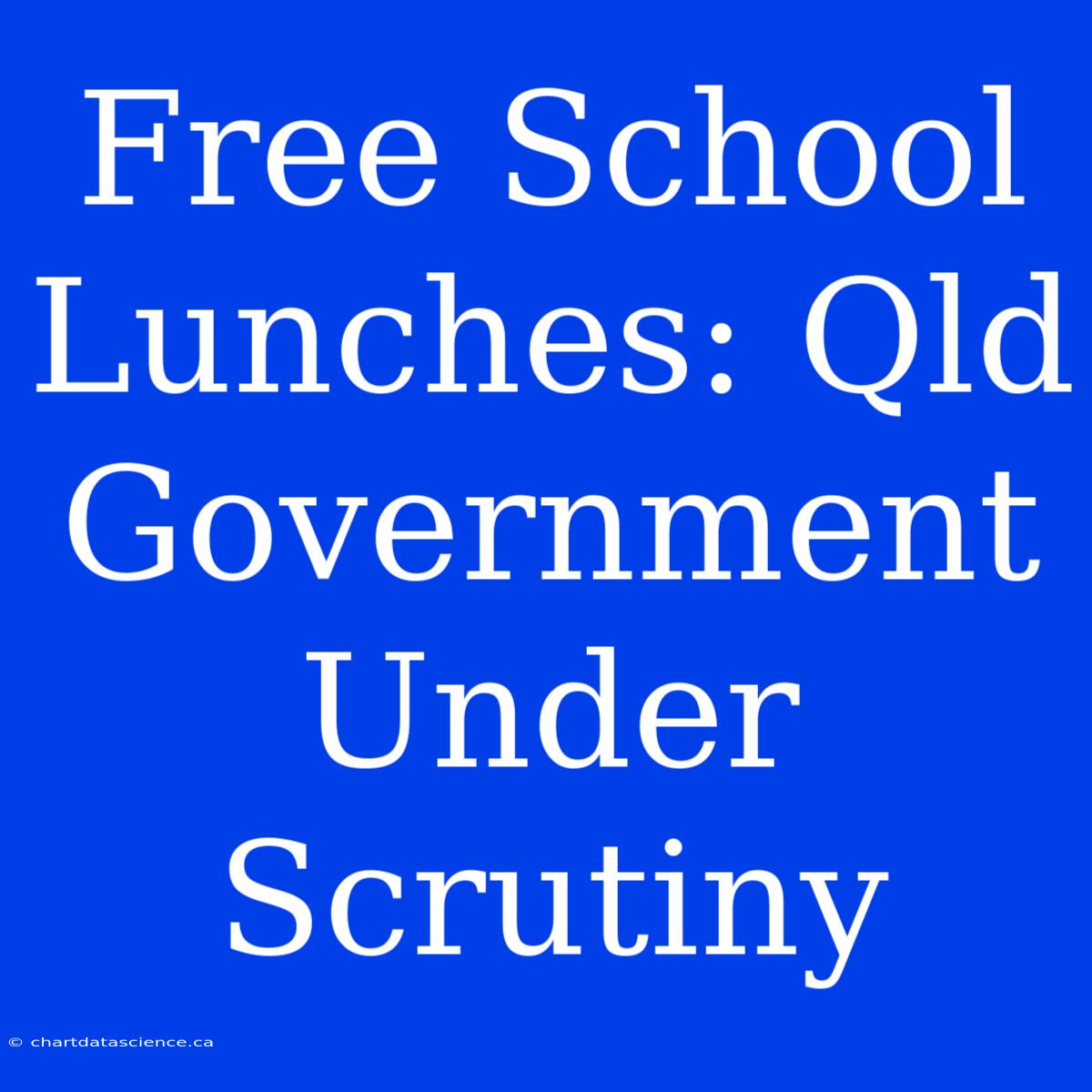 Free School Lunches: Qld Government Under Scrutiny